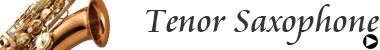 テナーサックス用ケース