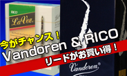バンドレン＆RICO　リード