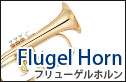 フリューゲルホルン　flugelhorn