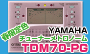 ヤマハ　TDM70